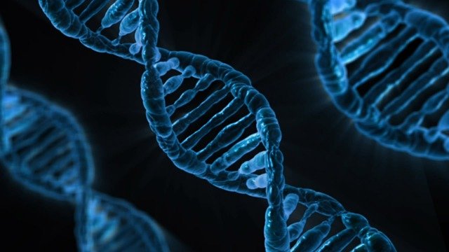 DNA Genome Sequencing