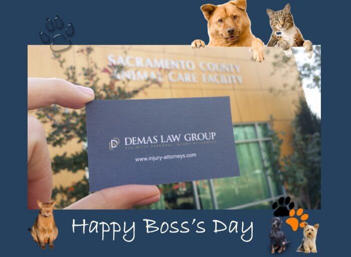 Bosss Day 700x513 1