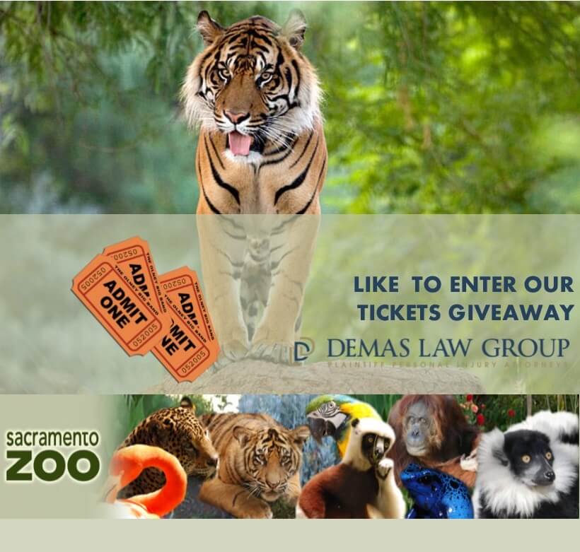 sacramento zoo1