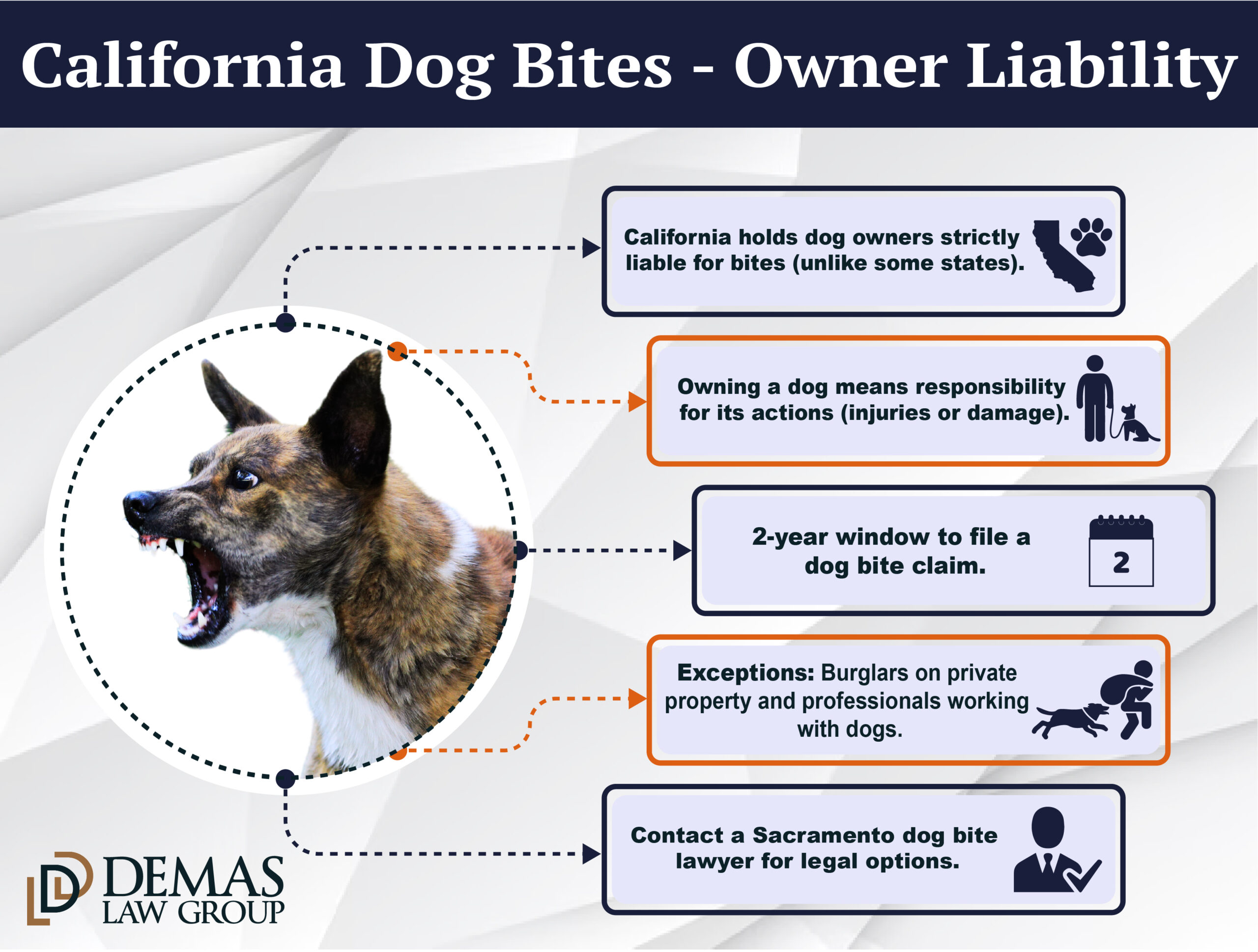 Sacramento Dog Bite Injury Attorney