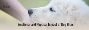 Emotional and Physical Impact of Dog Bites