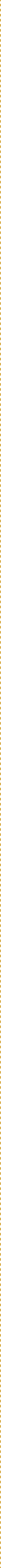 line divider long 1