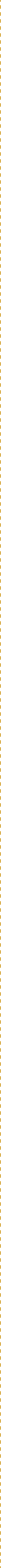 line divider medium 1