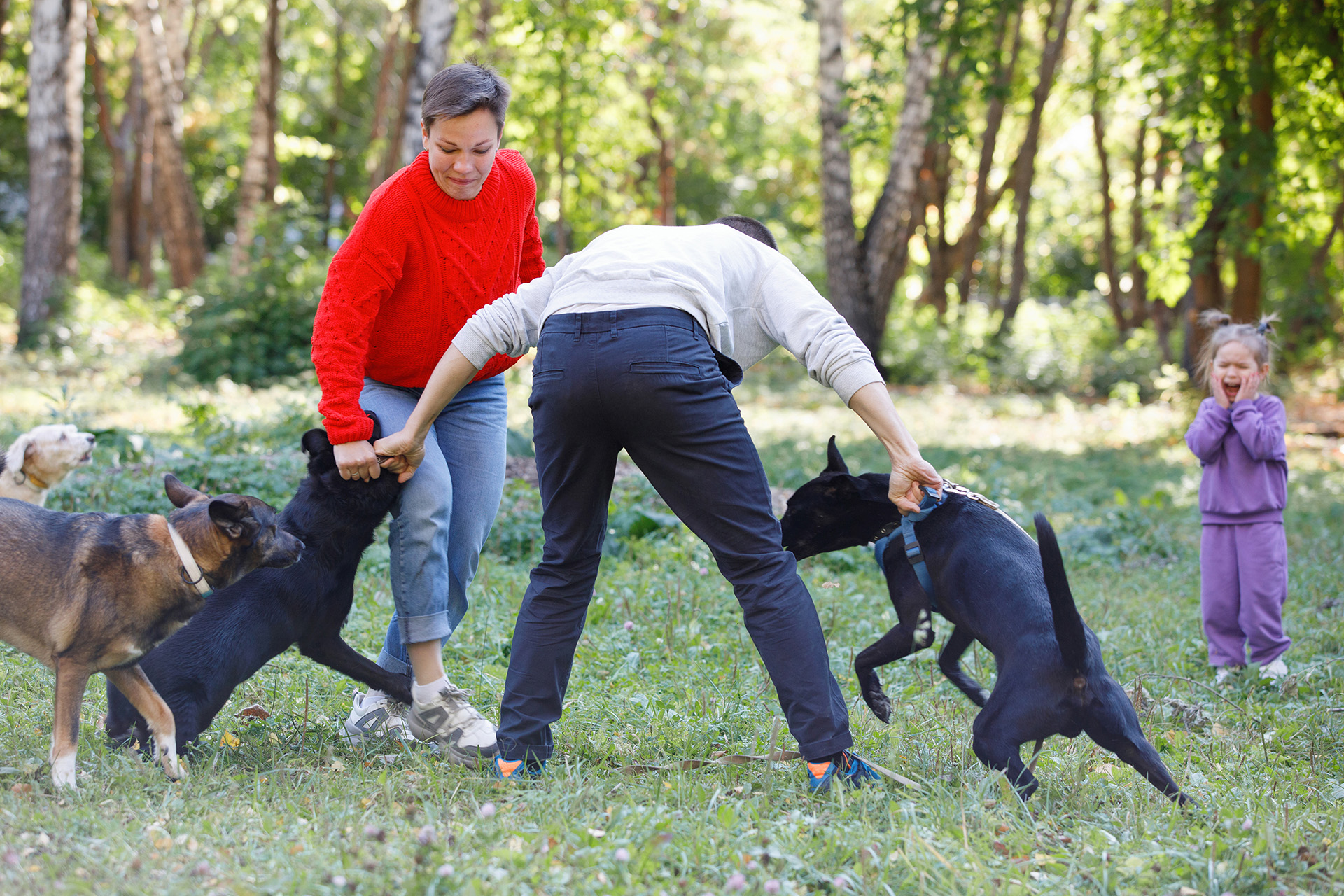 Sacramento Dog Bite Lawyer Tips for How to Prevent an Attack AdobeStock 301902865