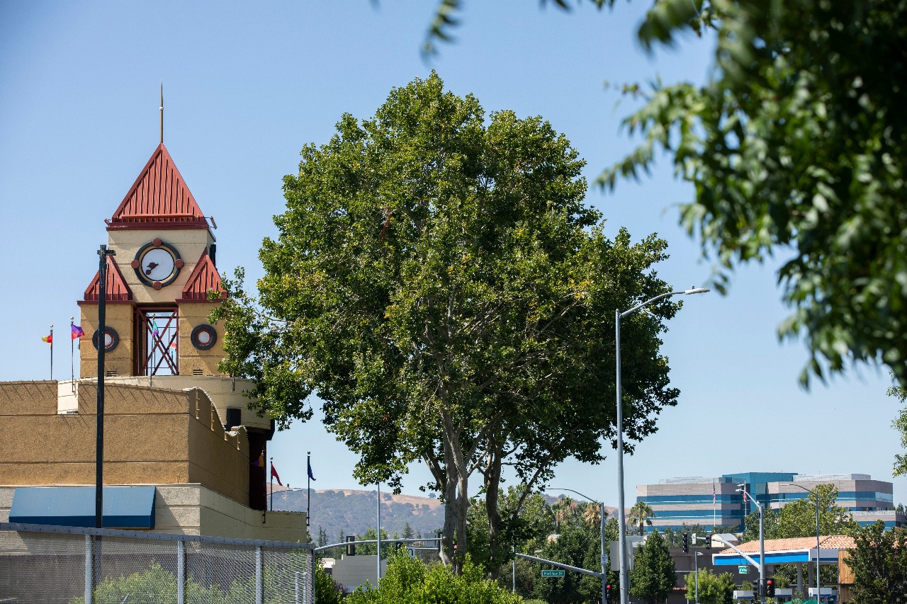 Auto Accident Attorney in Vacaville